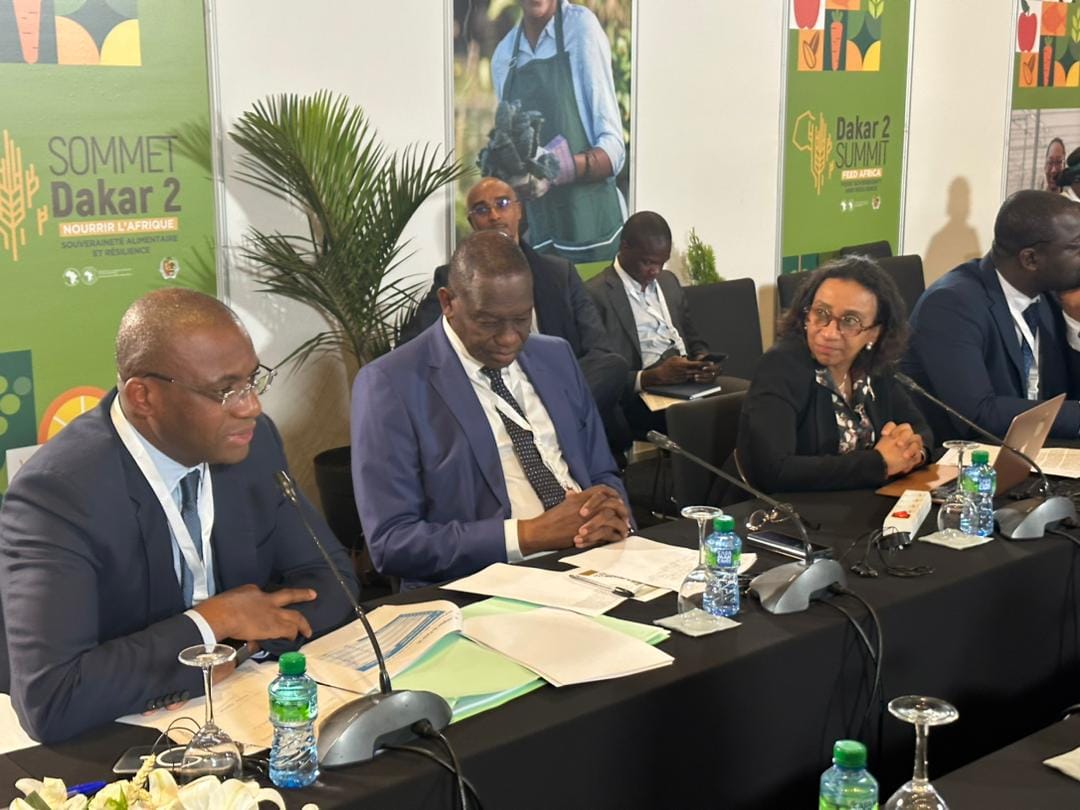 La Côte d'Ivoire participe à la 2e édition du sommet de Dakar.