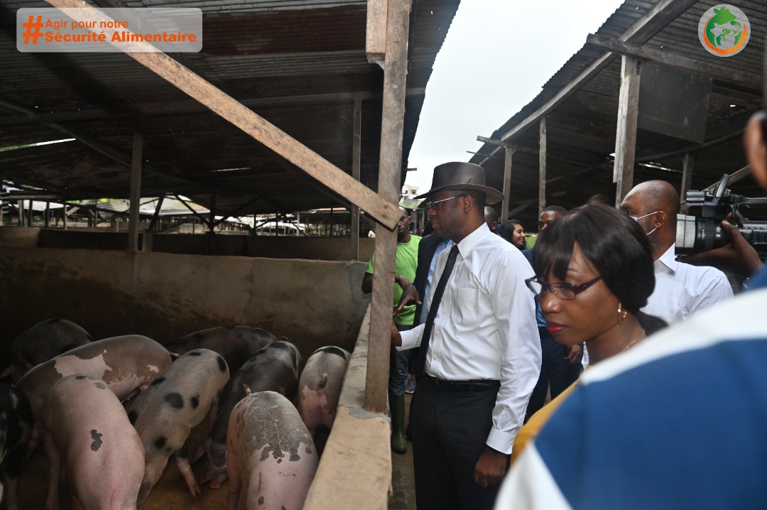 Le Ministre M. Sidi Tiémoko TOURE s'est rendu dans le cadre de ses visites aux acteurs de son secteur, à la ferme porcine Nawoya située à Bingerville.