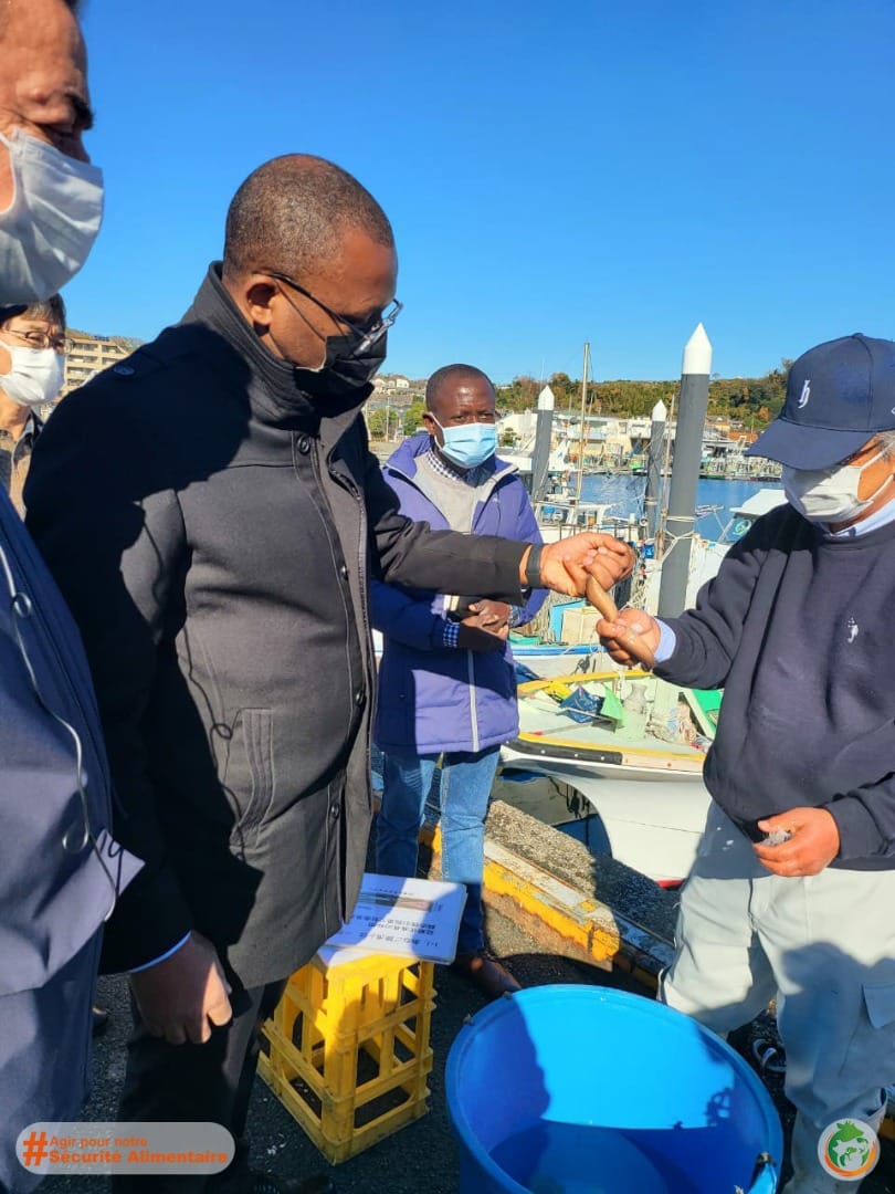 Visite d'une  coopérative de pêche au port de pêche de Shiba à Yokohama